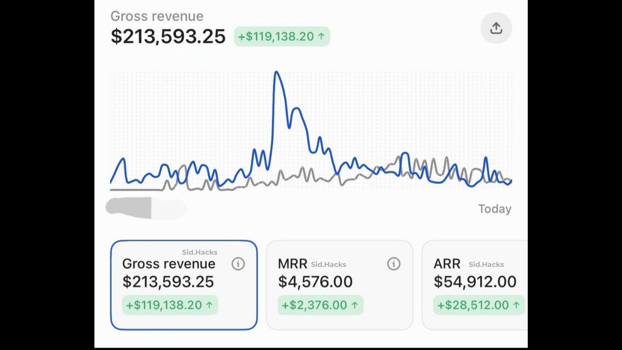 Revenue dashboard showing $213,593.25 gross revenue